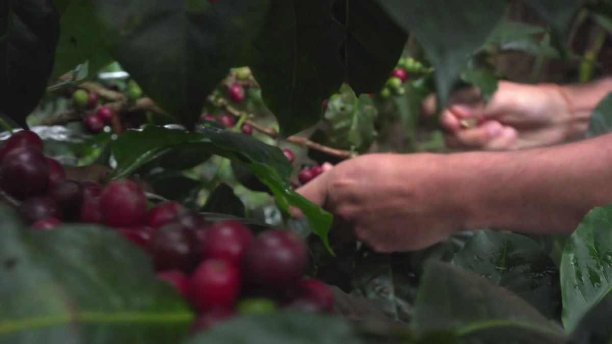 Historias desde las montañas.